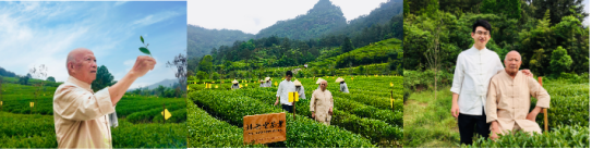 民族品牌 民族品牌