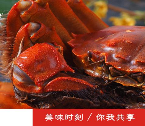 中國民族品牌網 中國民族品牌網