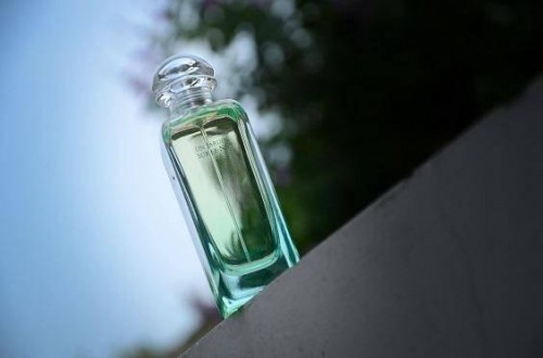 高檔香水：羨慕別人更出色？