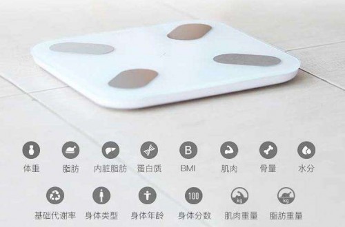 脂肪秤品牌哪個好？體脂稱的相關數據與使用原理