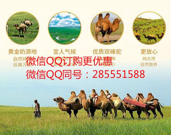 中國民族品牌網 中國民族品牌網