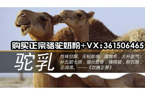 哪個牌子的駱駝奶粉好？喝駱駝奶粉有什么功效？