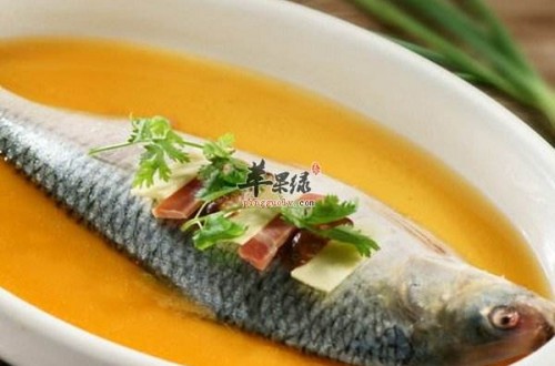 鰣魚的做法有哪些 鰣魚怎么做營養好吃