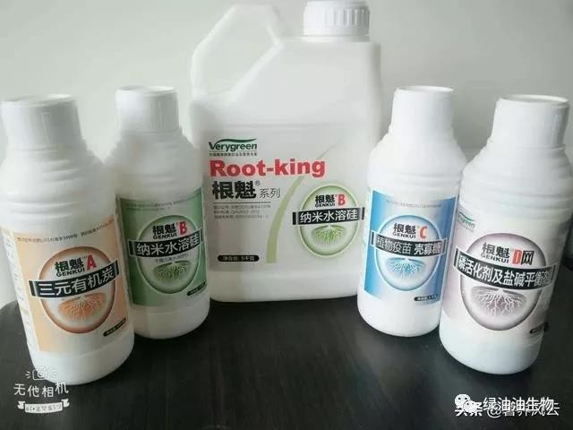 民族品牌 民族品牌