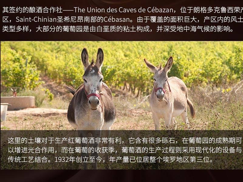 中國民族品牌網 中國民族品牌網