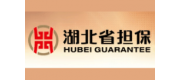 湖北省擔保品牌
