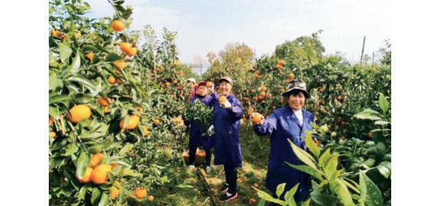 從“賣資源”到“賣品牌”，跨越——個“京品命門”，它跑出了產業加速度。