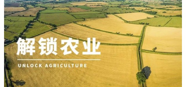高啟杰等：三大電商平臺上，優勢區域特色品牌占據較大市場份額