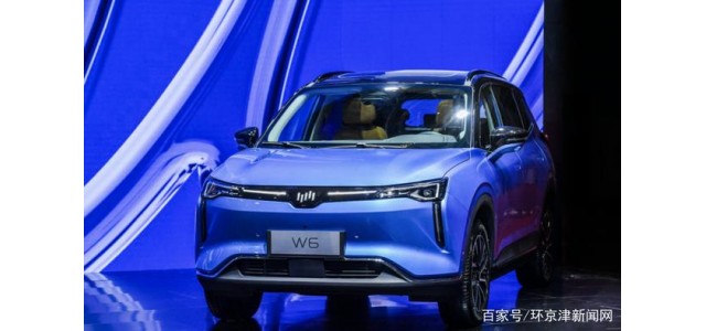 在2020中國品牌新車質量排行榜中，威馬汽車位列前三