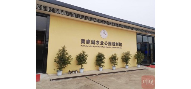 打造一個區域性的農產品公共品牌，能給這個小鎮帶來什么？