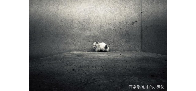 關于現代的「未來自閉癥」，專家怎么說？