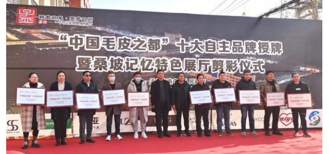 南莊鎮桑坡村十大自主品牌榮耀出爐！