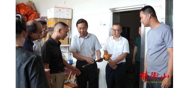 戴新賢在縣民族樂器制作協會調研時強調，振興民族樂器產業奏響了衡山發展的最強音。