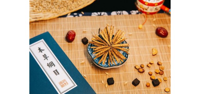 中藥第一民族品牌，股價從163元跌到53元，曾經的龍頭還能漲嗎？