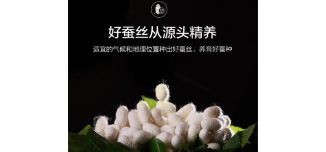 雙人蠶絲被哪個牌子好？